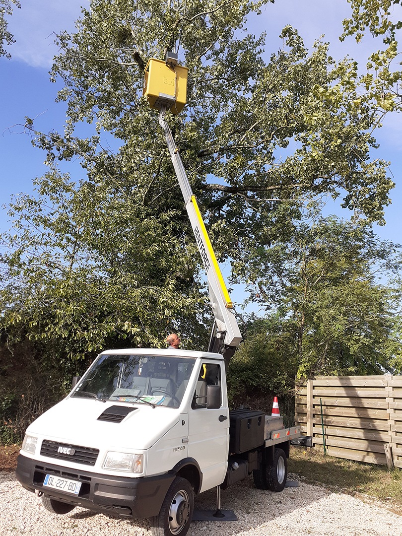 Élagage d'un arbre avec une nacelle élagueur, abattre un arbre, élagage, abattage, entretien