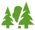 élagueur, abattre un arbre, élagage, abattage, entretien, nettoyage jardin