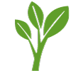 élagueur, abattre un arbre, élagage, abattage, entretien, nettoyage jardin