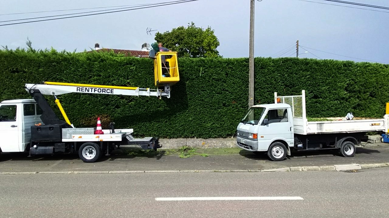 Taille de haie avec nacelle élagueur, abattre un arbre, élagage, abattage, entretien